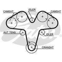 Timing Belt T1044 For  ALFA ROMEO Spider GTV 156 166 154