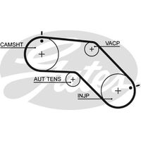 Timing Belt