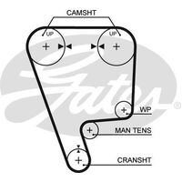 Timing Belt Gates T130