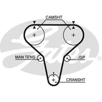Timing Belt