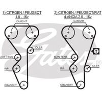 Timing Belt Gates T1504 For CITROEN XANTIA XM XSARA PEUGEOT 306 406 605