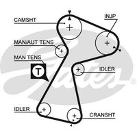 Timing Belt