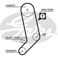 Timing Belt Gates T1569 for Volkswagen Transporter/Caravelle 70B, 70C, 7DB, 7DK, 70J, 70K, 7DC, 7DJ Bus 2.5 Petrol APL,AET,AVT