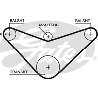 Timing Belt Gates T186 For HONDA ACCORD ODYSSEY PRELUDE