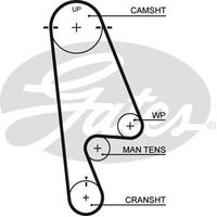 Timing Belt Gates T244 For HONDA ACCORD ODYSSEY