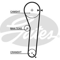 Timing Belt