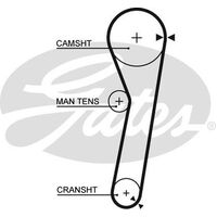 Timing Belt