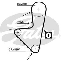 PowerGrip�� Belt