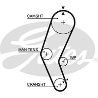 Timing Belt