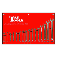 16 Piece Combination Wrench Set Metric 10-32mm T&E Tools TE-13105A