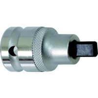 Pry Bit (Double D) Socket (5.5 x 8.2mm) T&E Tools 65015