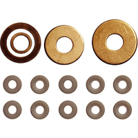 Diesel Adaptor Seal & washer Kit T&E Tools 8102-111