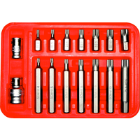 16 Piece Triple Square (Multi-Spline) 10mm Hex Insert Bits T&E Tools 91212