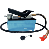 Air Hydraulic Pump T&E Tools A3036