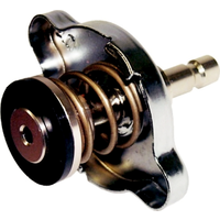 Small Diameter radiator Tank Adaptor for pressure Tester T&E Tools G04