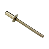 Grip Stainless Steel Rivets (4.8mm) T&E Tools MS4881-1