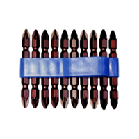 10 Piece Pozidriv Double Ended Power Bit 1/4" Hex  T&E Tools P1291-10