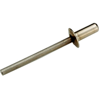 Grip Steel Rivets (6.4mm) T&E Tools SS6480-1