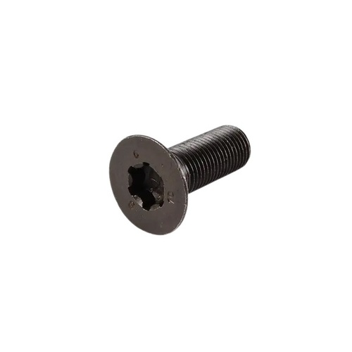Bolt  Camshaft Adj Unit 06D109281D for Volkswagen