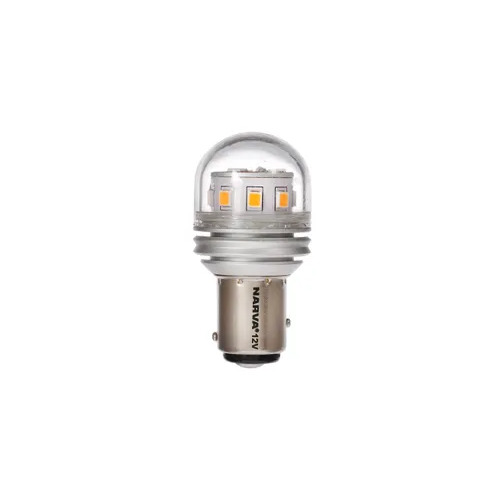 12v store led globes