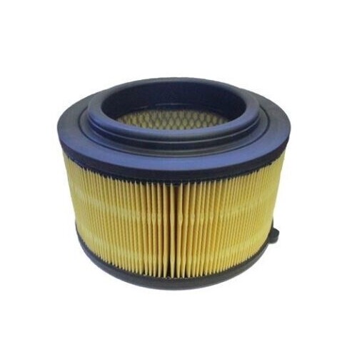 Air Filter ACA249 AcDelco For Ford Ranger PX Ute TDdi 2.2LTD - P4AT
