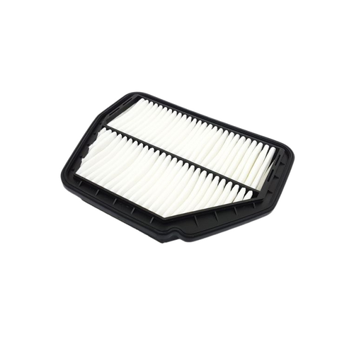 Air filter 22745824 for GM Holden Captiva 5, CG Genuine