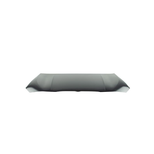Genuine Hood (41009492428) For BMW