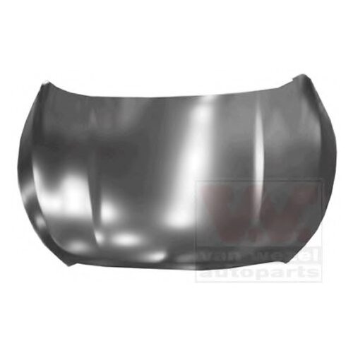 Panel Assy-Hood 664002S001 for Hyundai