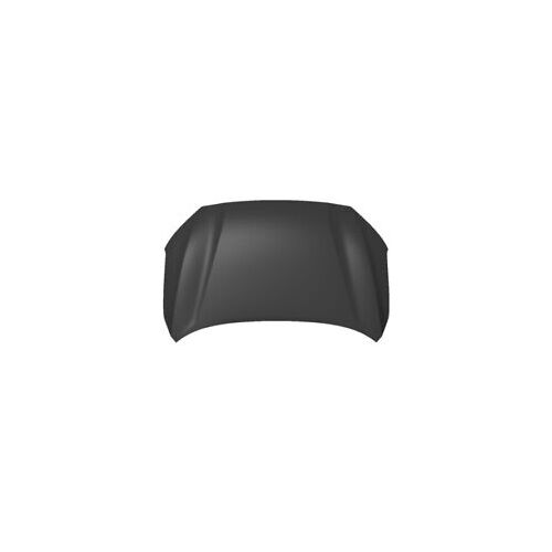 Panel Assy-Hood 66400D3000 for Hyundai
