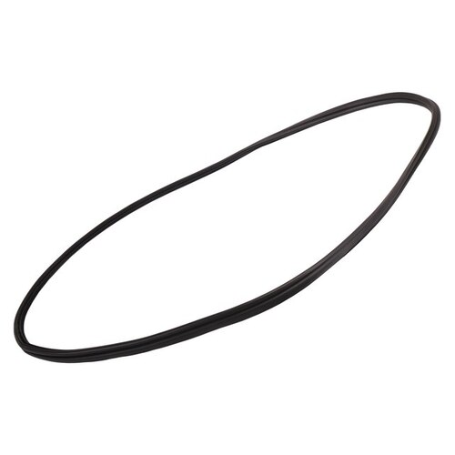 Weatherstrip Asm-R/Cmpt L 92249956 for GM Holden