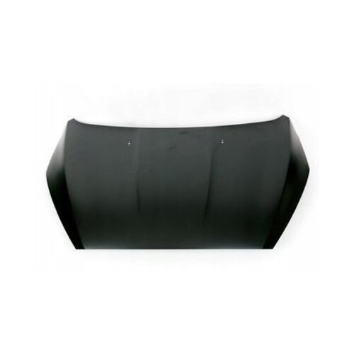 Hood PF1EBA16610AA For Ford