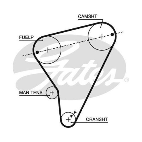 Timing Belt  Gates T016