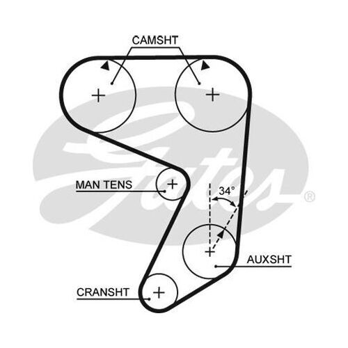 Timing Belt  Gates T020