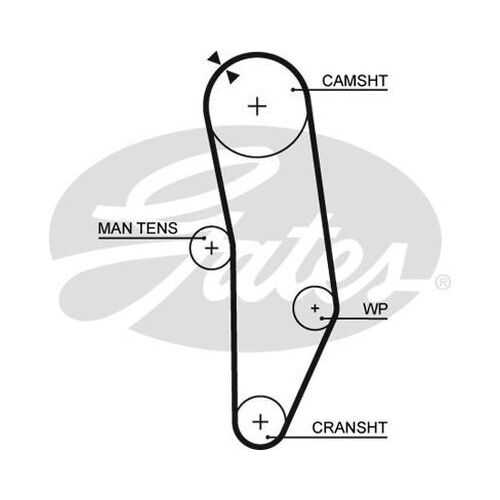 Timing Belt
