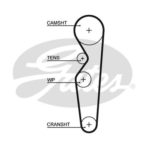 PowerGrip�� Belt