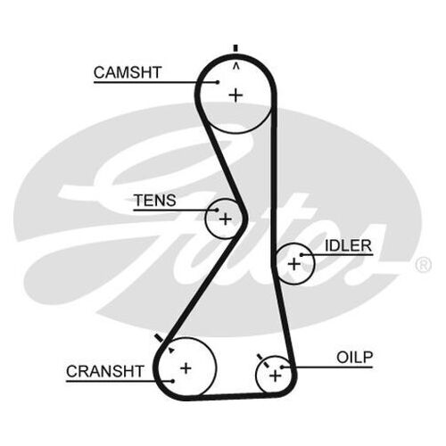 Timing Belt  Gates T1021