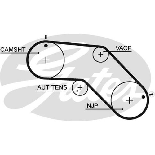 Timing Belt