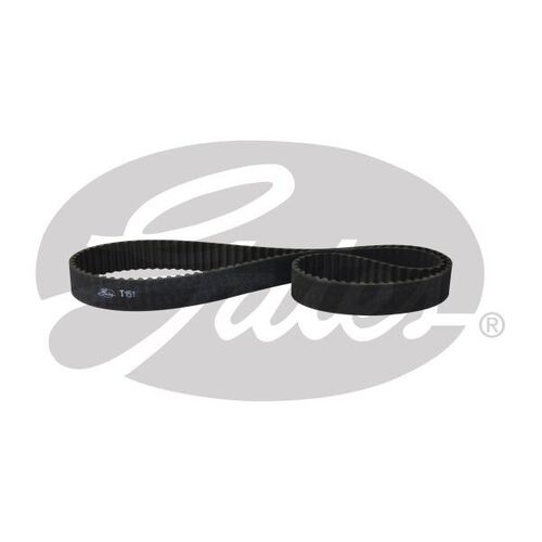 Timing Belt