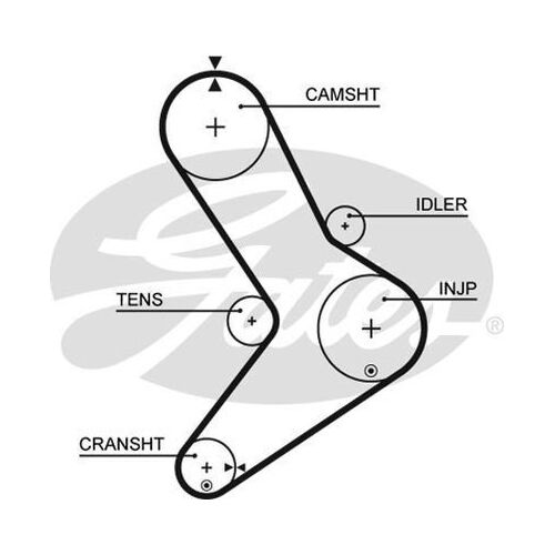 Timing Belt Gates T1555 for Fiat Ducato 244 Van  JTD 2.8 Diesel 8140.43S