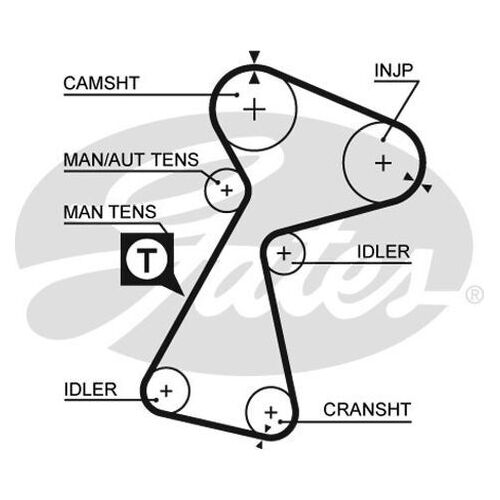 Timing Belt