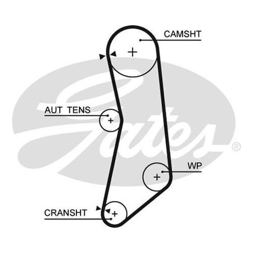 Timing Belt Gates T1637 for Fiat Punto 199 Hatchback (199.AXB11, 199.AXB1A) 1.4 Petrol 350 A1.000