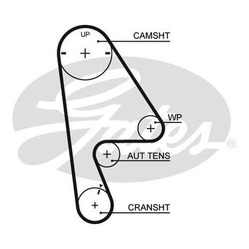 Timing Belt Gates T224 For HONDA