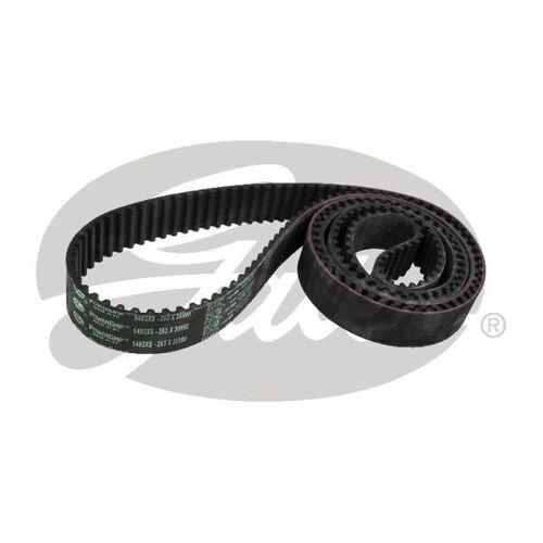 Timing Belt Gates T297 for Audi A8 4E2, 4E8 Sedan quattro 4.2 Petrol BFM