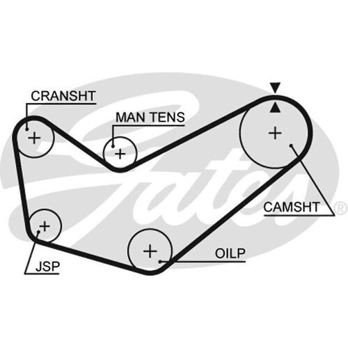 Timing Belt Gates T299