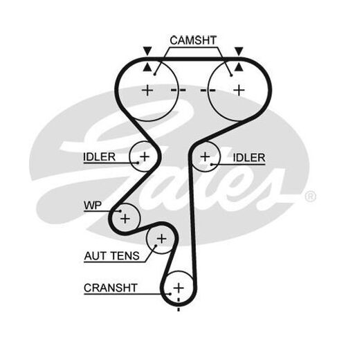 Timing Belt Gates T305 For DAEWOO LEGANZA HOLDEN CAPTIVA FRONTERA VECTRA