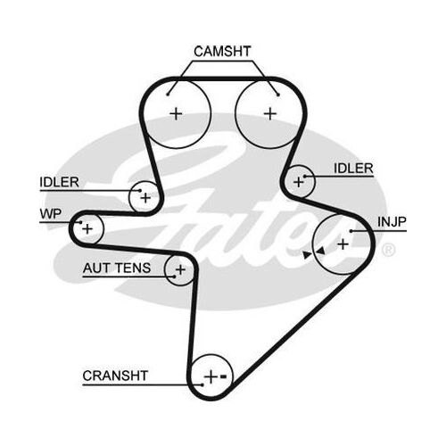 Timing Belt Gates T336 for LDV V80 Van D 2.5 Diesel SC25R136Q5,SC25R136Q4