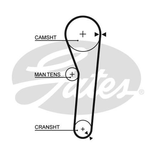 Timing Belt
