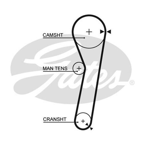 Timing Belt