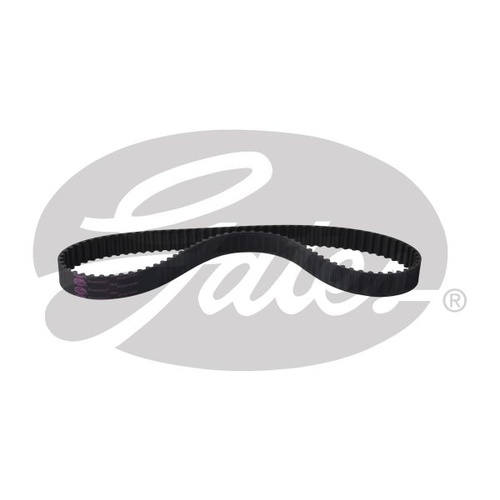 PowerGrip�� Belt