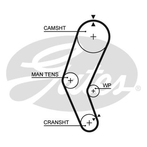 Timing Belt
